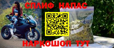 крисы Кингисепп