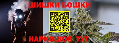 крисы Кингисепп