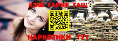 крисы Кингисепп