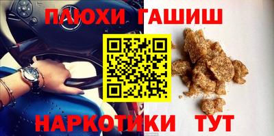 крисы Кингисепп