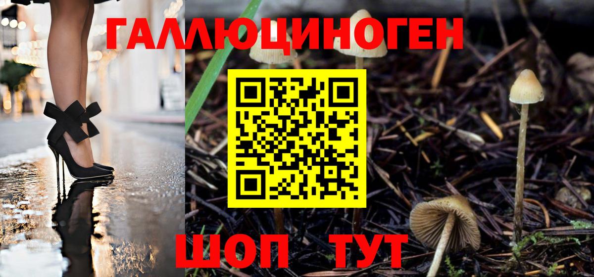Псилоцибиновые грибы Cubensis Кемерово