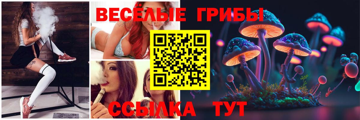 Кемерово  Псилоцибиновые грибы мухоморы  Вход с VPN 